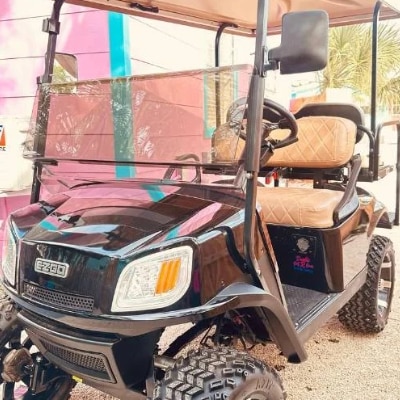 Gas Golf Cart